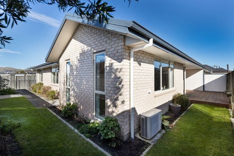 Photo of property in 45a Warwick Street, Mayfield, Blenheim, 7201