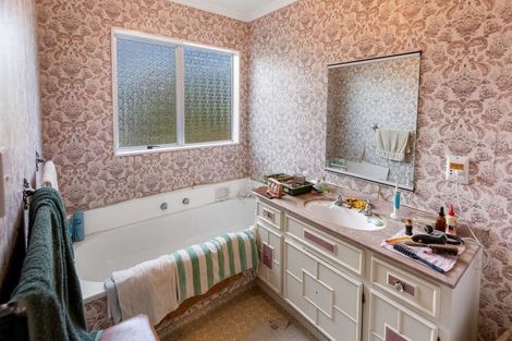 Photo of property in 96 Stortford Street, Ashhurst, 4810