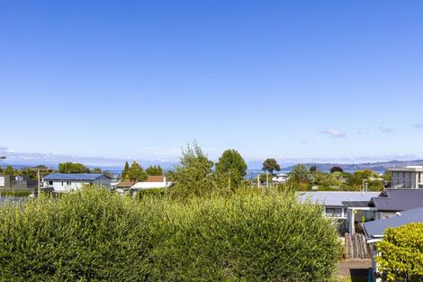Photo of property in 23 Taupo View Road, Taupo, 3330