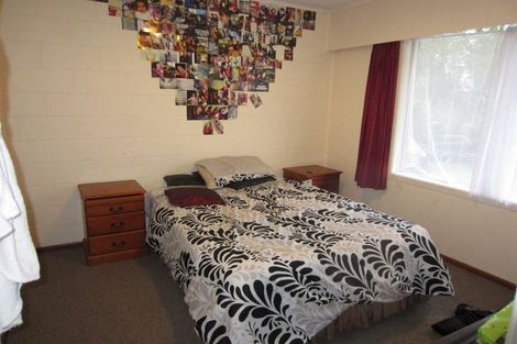 Photo of property in 102b Lewis Street, Glenview, Hamilton, 3206