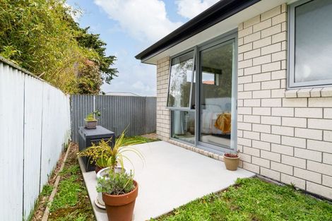 Photo of property in 35e Ross Crescent, Fairfield, Hamilton, 3214