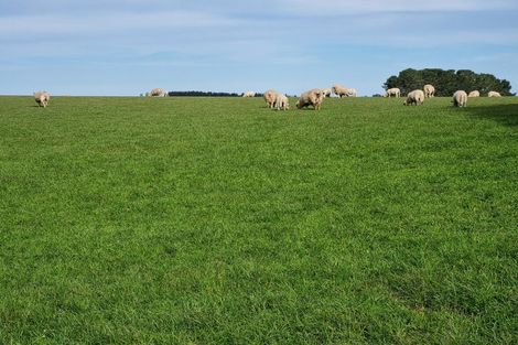 Photo of property in 1446a Clydevale Road, Clydevale, 9274