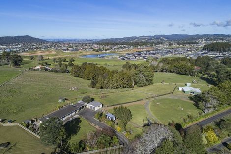 Photo of property in 133a Vinegar Hill Road, Kauri, Kamo, 0185