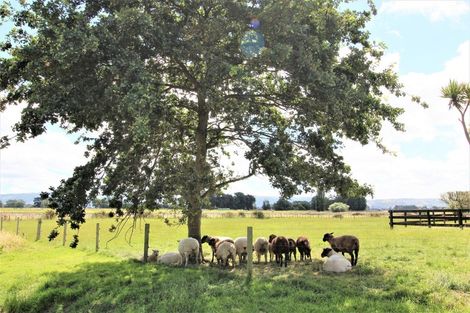 Photo of property in 509 Range Road, Woodville, 4997