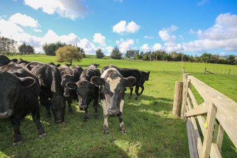 Photo of property in 3 Waiteitei Road, Wellsford, 0974