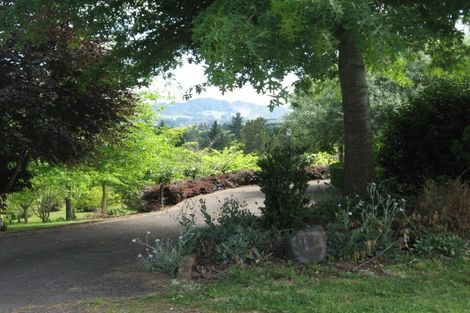 Photo of property in 245 Kauri Point Road, Tahawai, Katikati, 3170