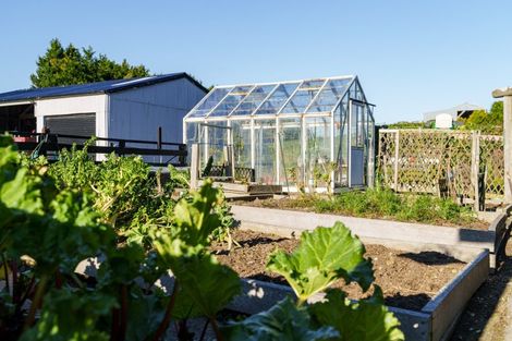 Photo of property in 739 Purakaunui Falls Road, Tarara, Owaka, 9586