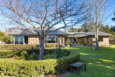 Photo of property in 535 Esdaile Road, Whakamarama, Tauranga, 3180