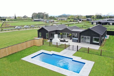 Photo of property in 22 Margot Lane, Matangi, Hamilton, 3283