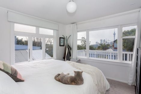 Photo of property in 19 Paget Street, Freemans Bay, Auckland, 1011