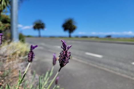 Photo of property in 8 Point Road, Monaco, Nelson, 7011