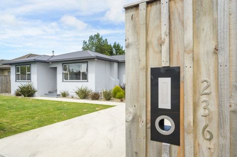 Photo of property in 236 Botanical Road, Takaro, Palmerston North, 4412