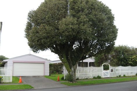 Photo of property in 51 Record Street, Fitzroy, New Plymouth, 4312