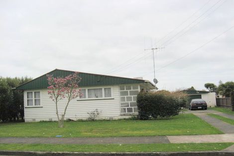 Photo of property in 15 Elizabeth Street, Levin, 5510