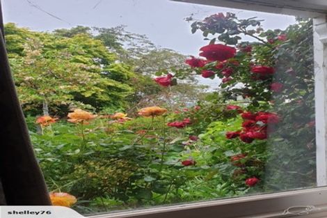 Photo of property in 208 Clyde Street, Balclutha, 9230