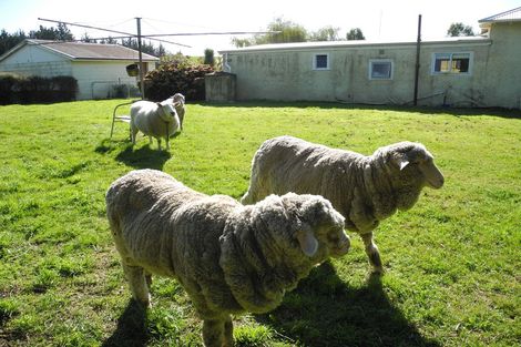 Photo of property in 13 Queens Terrace, Waimate, 7978