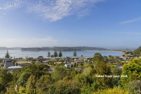 Photo of property in 13 Punga Place, Whitianga, 3510