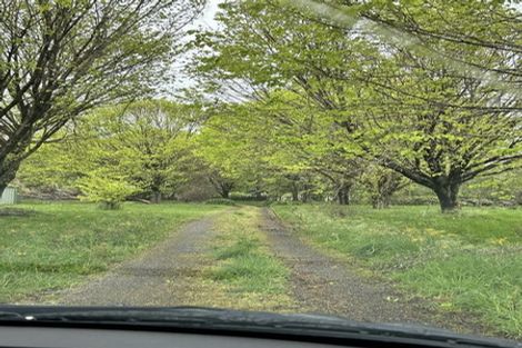 Photo of property in 51 Oak Street, Masterton, 5810