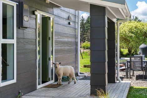 Photo of property in 173a Belk Road South, Omanawa, 3173