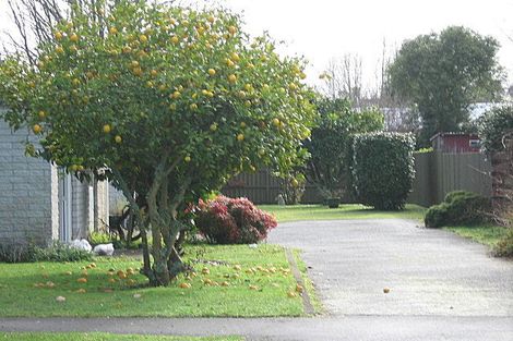 Photo of property in 20 Bremworth Avenue, Dinsdale, Hamilton, 3204