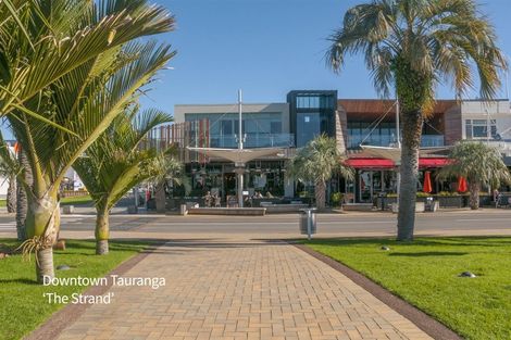 Photo of property in 155 Edgecumbe Road, Tauranga South, Tauranga, 3112