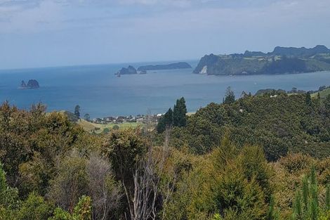 Photo of property in 57 Tarapatiki Drive, Whitianga, 3510