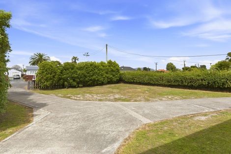 Photo of property in 21 Lemon Street, Otaki, 5512