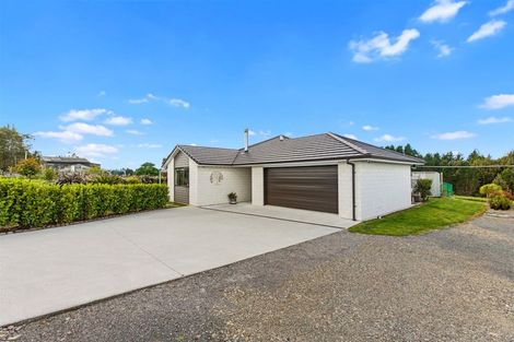 Photo of property in 2001 Te Matai Road, Ngawaro, Te Puke, 3188