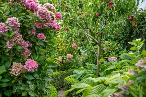 Photo of property in 2 Clearwater Place, Mayfield, Blenheim, 7201