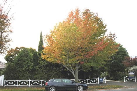 Photo of property in 42 Memorial Avenue, Ilam, Christchurch, 8053