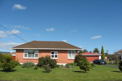 Photo of property in 4 Dover Street, Levin, 5510