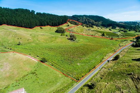 Photo of property in 236 Ormond Road, Mangapapa, Gisborne, 4010