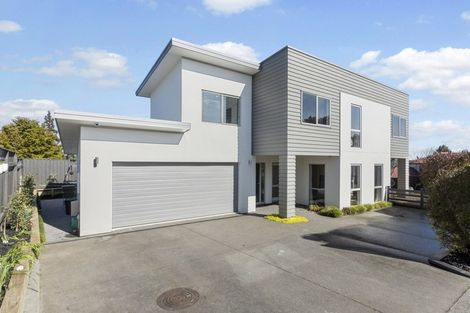 Photo of property in 55a Lake Crescent, Hamilton Lake, Hamilton, 3204