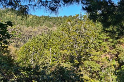 Photo of property in 110 Wood Road, Colville, Coromandel, 3584