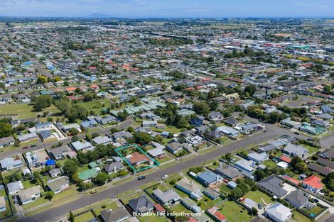 Photo of property in 14 Middlesex Street, Levin, 5510