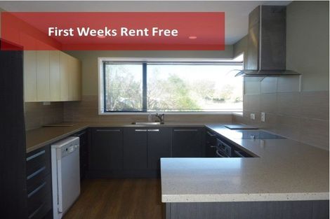 Photo of property in 16 Cataluna Place, Hei Hei, Christchurch, 8042