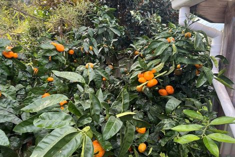 Photo of property in 4 Slade Street, Greerton, Tauranga, 3112