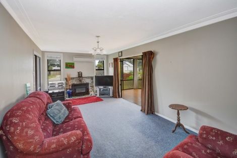 Photo of property in 13 Hall Street, South Dunedin, Dunedin, 9012
