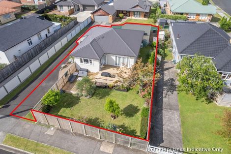 Photo of property in 488 Mandeno Street, Te Awamutu, 3800