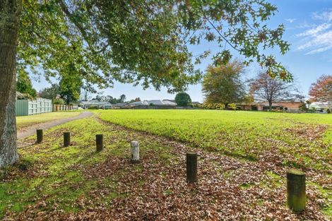 Photo of property in 52 Highfields Drive, Katikati, 3129