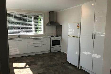 Photo of property in 3 Somerset Avenue, Newtown, Wellington, 6021