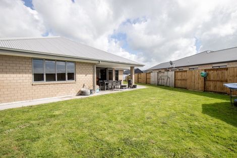 Photo of property in 24 Mcwatters Drive, Ngatea, 3503