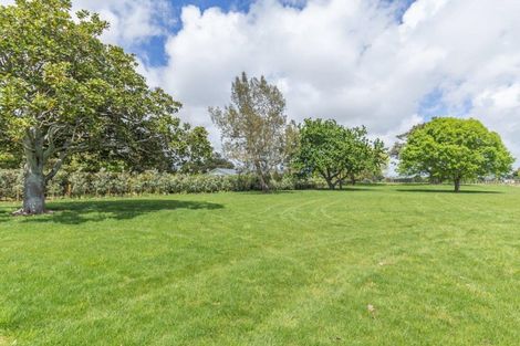Photo of property in 15 Lindsay Road, Levin, 5510