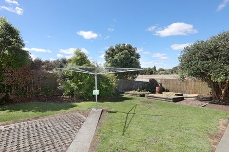 Photo of property in 15 Fergusson Street, Marton, 4710