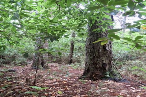 Photo of property in 504b Wairere Road, Maungaturoto, 0571