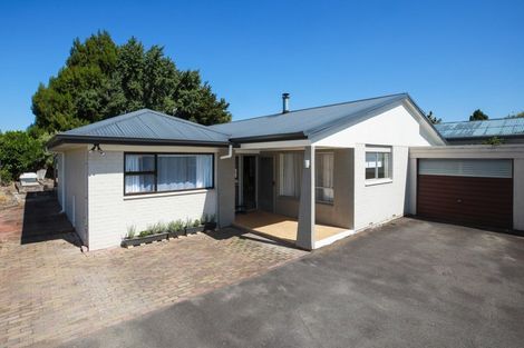 Photo of property in 29 Wymer Terrace, Chartwell, Hamilton, 3210