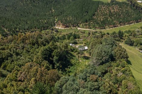 Photo of property in 320b Pikowai Road, Pikowai, Whakatane, 3194