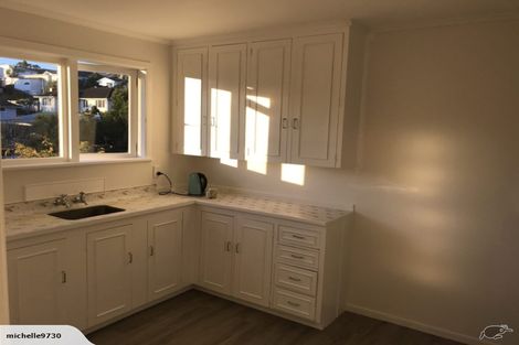 Photo of property in 44 Selwyn Crescent, Forrest Hill, Auckland, 0620