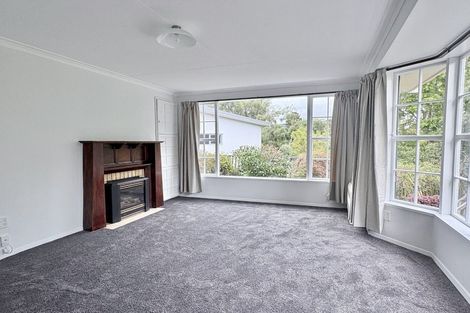 Photo of property in 22b Drivers Road, Maori Hill, Dunedin, 9010