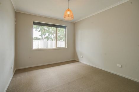 Photo of property in 19 Burns Street, Milton, 9220